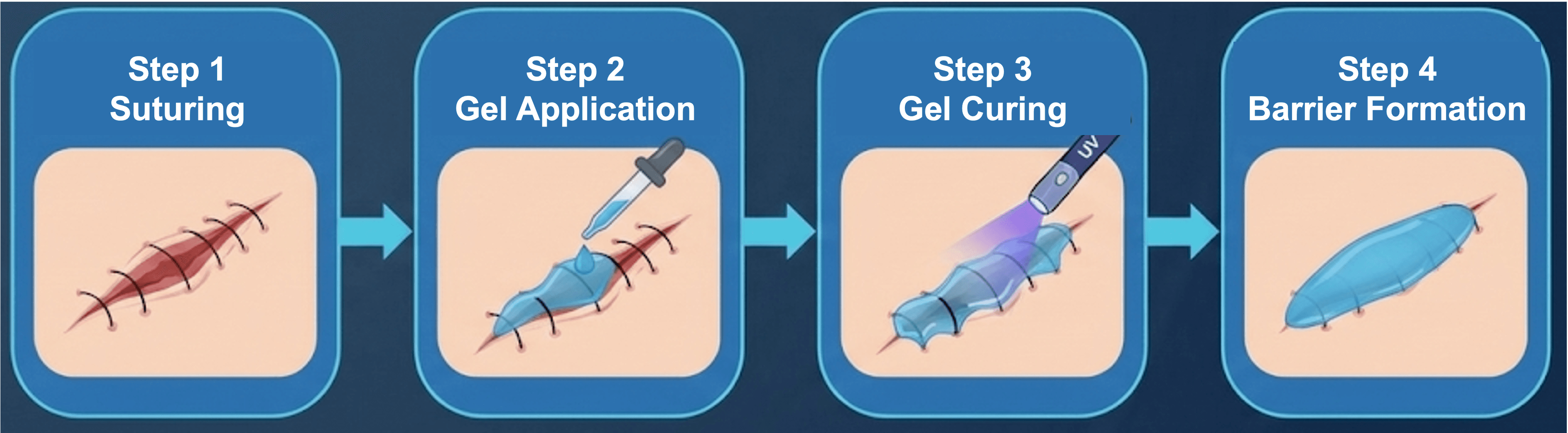 VetSeal procedure workflow illustration